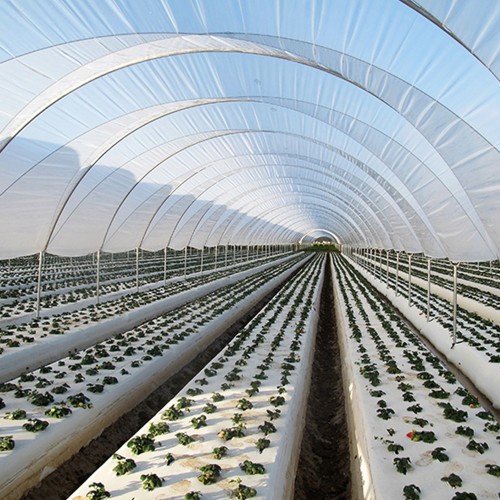 Folie de acoperire solar, cu...