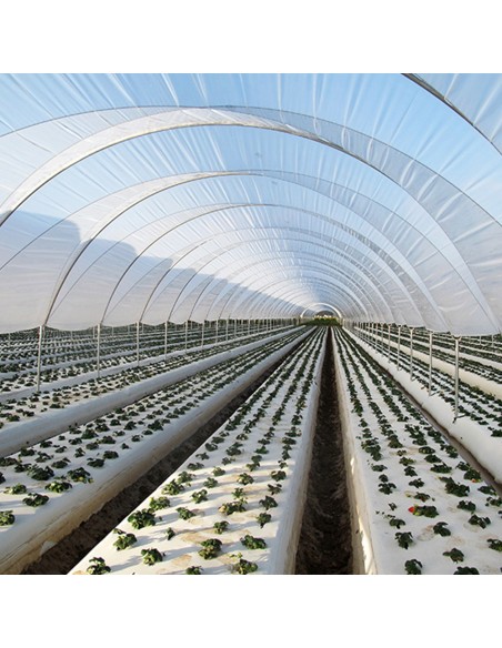 Folie de acoperire solar, cu proprietati termice, SUNTHERM DIFUSSED 303 Plus – GINEGAR, 23,10 lei/kg