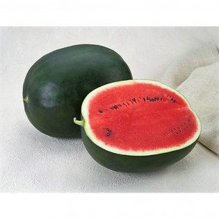 ADAM F1, 500 sem. - seminte... 2