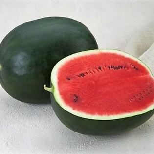 ADAM F1, 500 sem. - seminte...