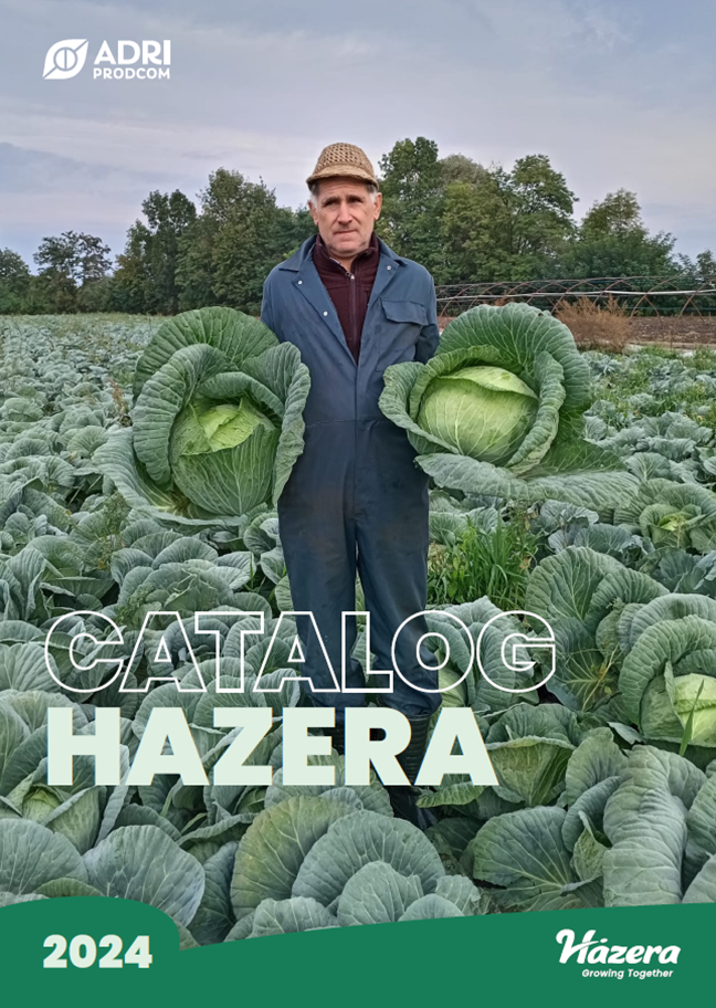 Catalog SEMINTE HAZERA 2024